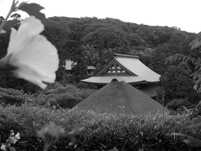v3/36/457736/3/48816686.kitakamakura027.jpg