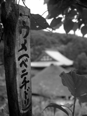 v3/36/457736/3/48817265.kitakamakura031.jpg