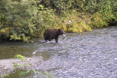 north_to_alaska
