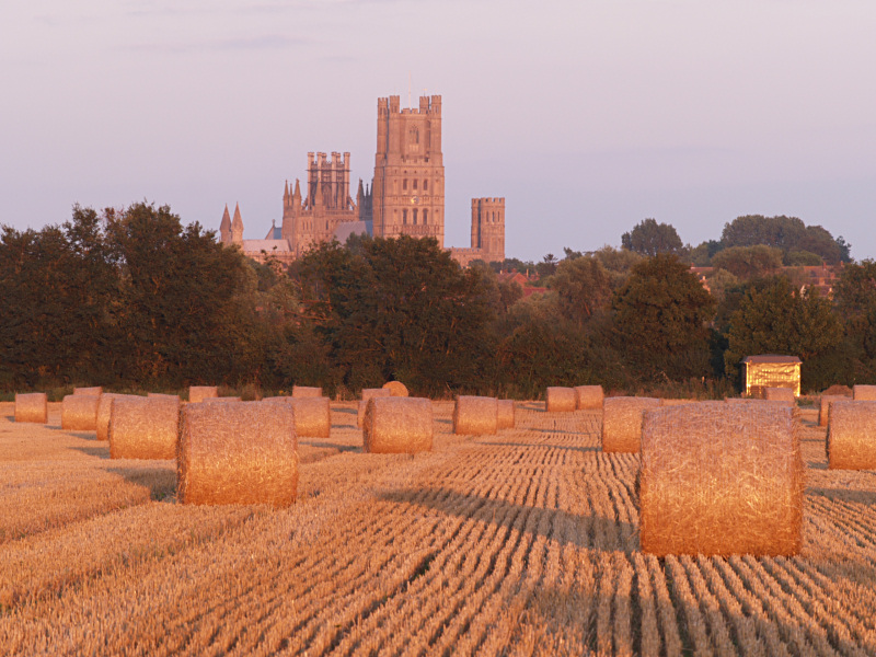 Hay rolls overlooked by Ely Cathedral (III)