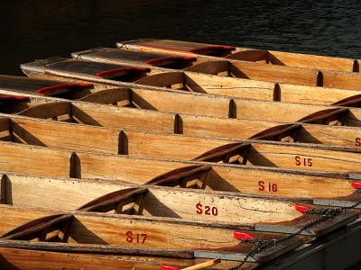 Punt in alignment