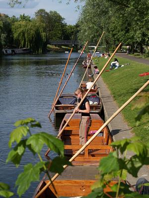 Punts fixed with poles
