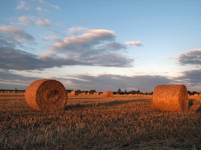 Hay rolls and long shadows