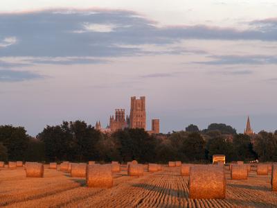 Hay rolls overlooked by Ely Cathedral (I)