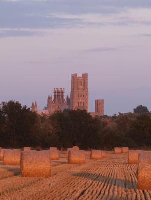 Hay rolls overlooked by Ely Cathedral (II)