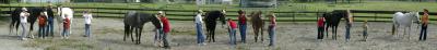 v3/36/515636/3/50732282.PanaramaofHorseCampforWeb.jpg