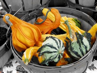 Gourds1.jpg