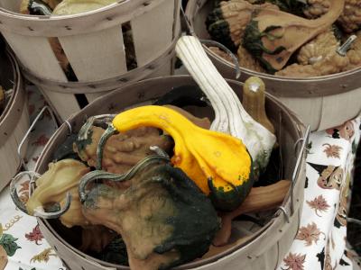 Gourds2.jpg