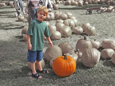 v3/36/551036/3/50163068.PumpkinPatch.jpg