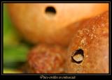 Cachettes 2