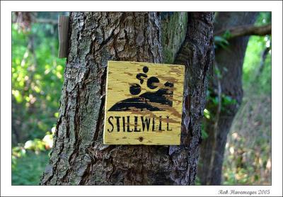 A pictorial of the Stillwell Woods Biking trail
