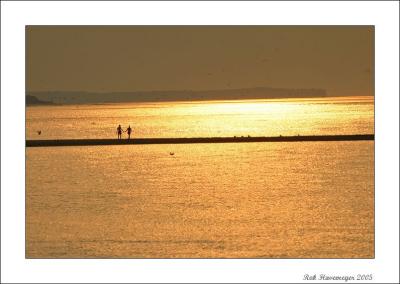 IMG_5582 copycleaned.jpg