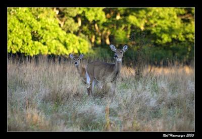 Connetquot River State Park