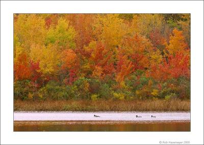 Millers Pond Oct 23 2005