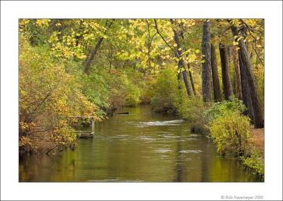 Connetquot River State Park Oct 23 2005