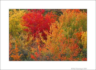 Millers Pond Oct 23 2005