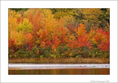 Millers Pond Oct 23 2005