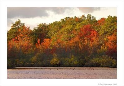 Connetquot River State Park Oct 23 2005