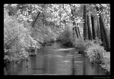 Connetquot River State Park Oct 23 2005