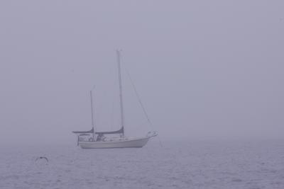 fog sail