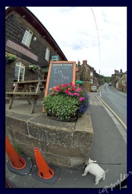 outside the tavern