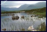 on rannoch moor