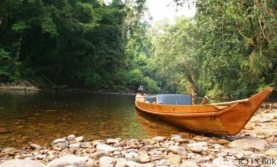 Pahang National Park