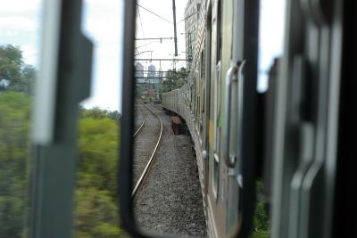 IMGP4883.jpg