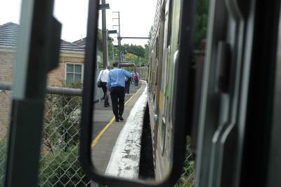 Laburnam Drivers mirror
