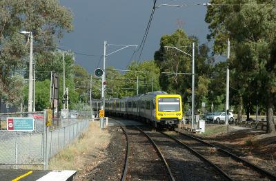 Tooronga