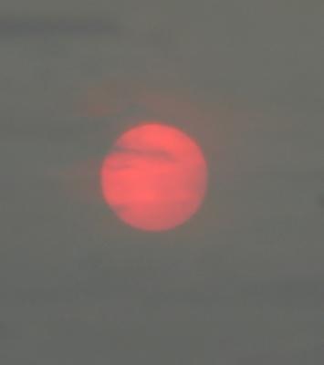smoke-veiled sun close up