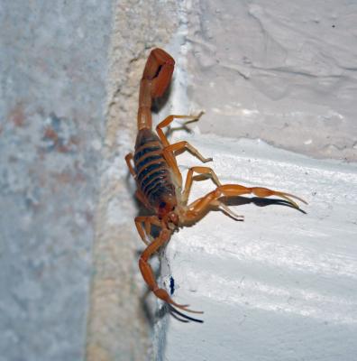IMG_0746b.jpg