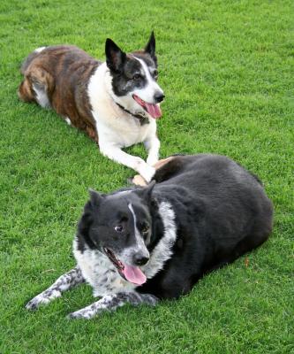 Casey and Brandy