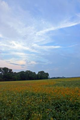 IMG_2575b.jpg