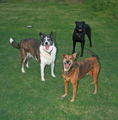 Throw the ball, already!