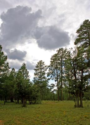 IMG_1971.JPG