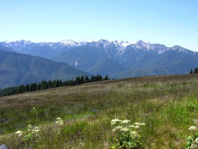 7_17_2005_Hurricane Ridge