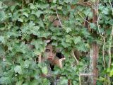 DSC00839.JPG