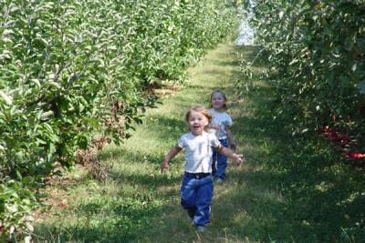 Running through the orchard