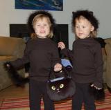 2 little black cats on Halloween (Reagan on the left)