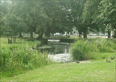 Village green, late June