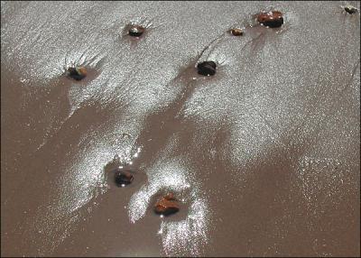 v3/37/256437/3/46766314.brancasterpebbles01.jpg