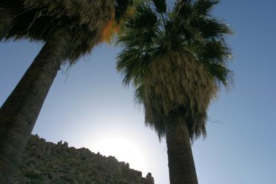 Joshua Tree National Park, CA