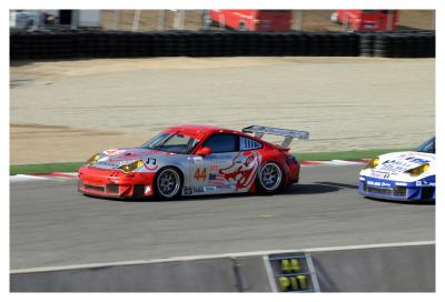 Flying Lizard #44