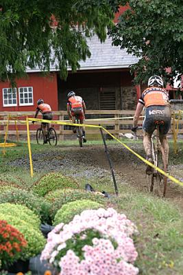 IMG_2597.jpg