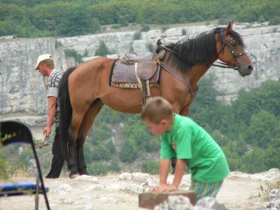 Czufut-Kale Horse