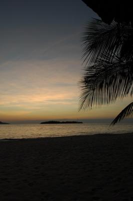 DSC_1498.JPG