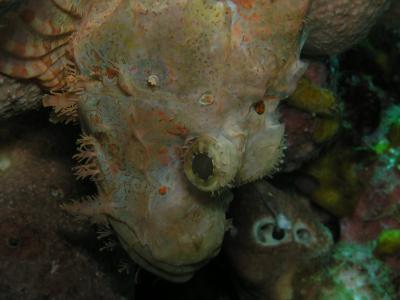 P9200229.JPG