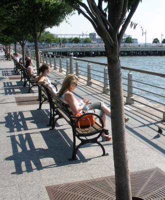 Bench Ladies