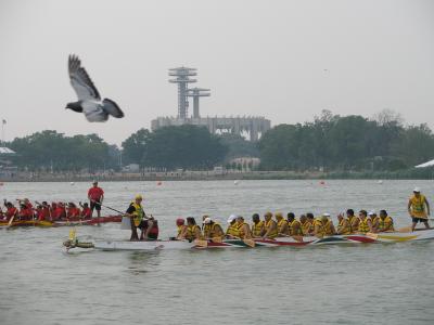 Pidgeon Boat Race